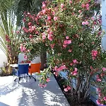 阿德菲公寓